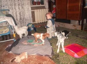 SAM_1194