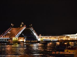 DSC_3505