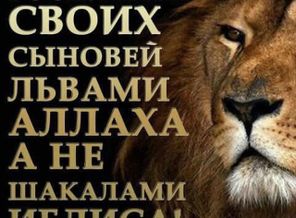 image (1)
