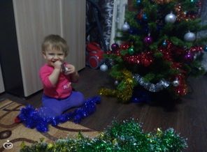 IMG_20161205_155342