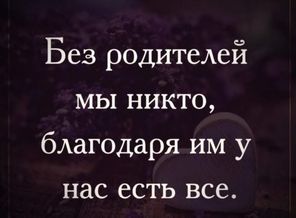 image (41)