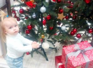 IMG_20161112_123517