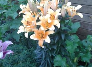 20150728_210333