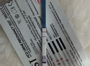 DSCF1511