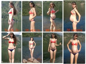 g0QttWLOqiU