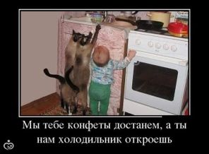3MY-c_KfsX8