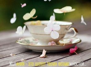 IMG_20160505_180048
