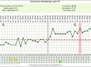 Беременный график БТ