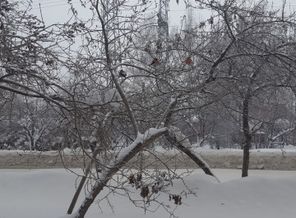 20170116_153814