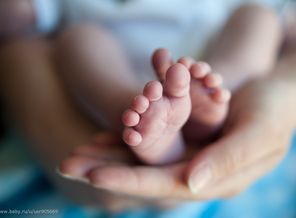 img_7d8f3dfc2bb185b5d93014e24d3835e2