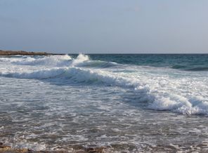 IMG_5248