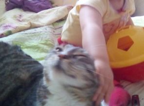 IMG-20161202-WA0001