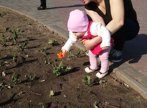 IMG_20160417_164421