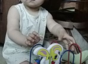 WP_20160618_008