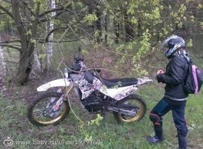 поездка в лес)