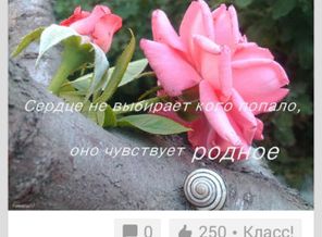 Screenshot_2016-01-20-05-23-04