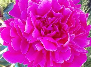 IMG_20160623_202757
