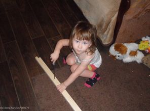 SAM_5978