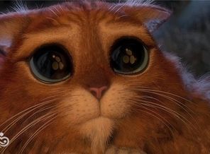 Puss_In_Boots_Shrek_Forever