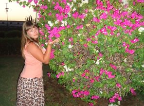 DSC04978