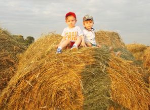 IMG_20160708_150956