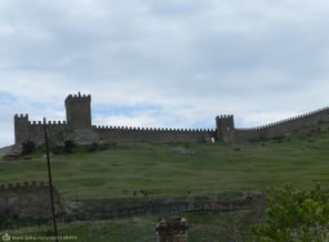 DSCN3118