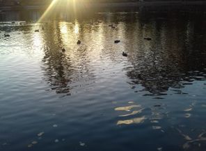 20161001_172548