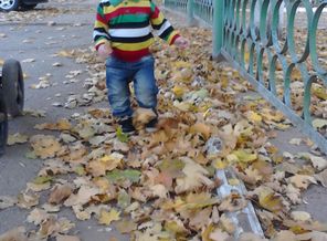 Но вот и пришла Осень