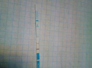 IMG_20161117_063234997