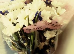 IMG_20170227_161035_563
