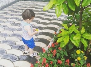 IMG_20160612_101730