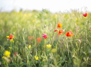IMG_20160616_111158_0