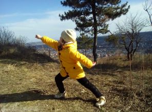 IMG_20160225_221045_352