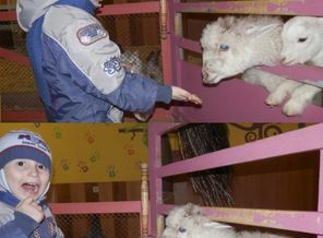 С Днём рождения, Kabrita!