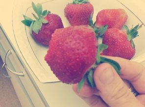 IMG_20160518_212302387