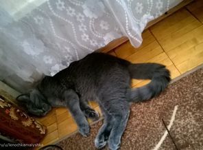 WP_20150425_16_22_58_Pro