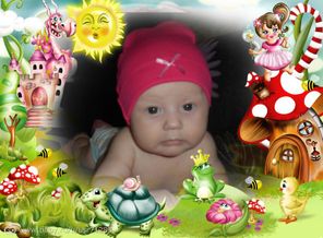 20185946_webka