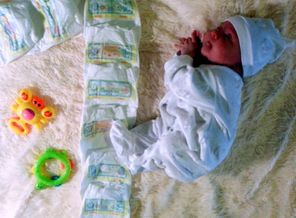 SAM_0086