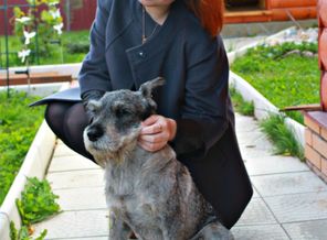 Грей