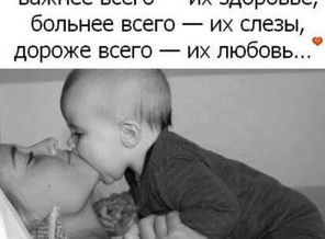 Naibe Dox 20160426_171527