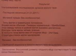 IMG_20170310_113953