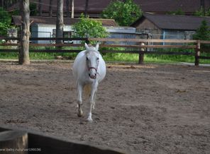 DSC_1133 - копия