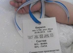 8qJ346aLOS-xss48l18f.jpeg
