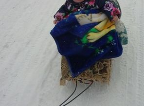 Первый раз на санках