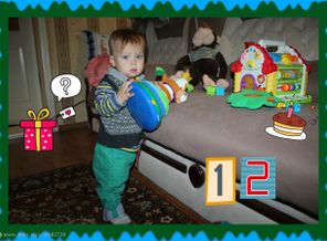 IMG_2529j