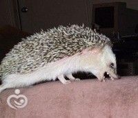 IMG-20160927-WA0003
