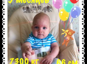 5 месяцев