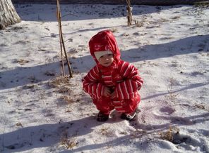 Готовимся к зиме
