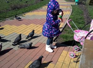 Чек-2016-01-04-2032863