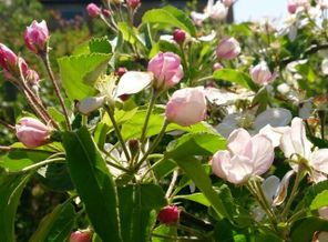 IMG_20160424_191102